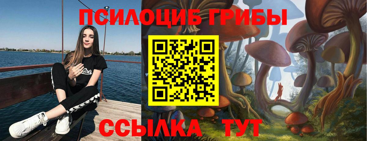 Галлюциногенные грибы Psilocybe Якутск